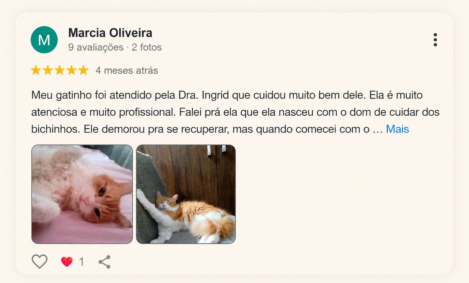 Avaliação 1 — Gato Quilate no Google