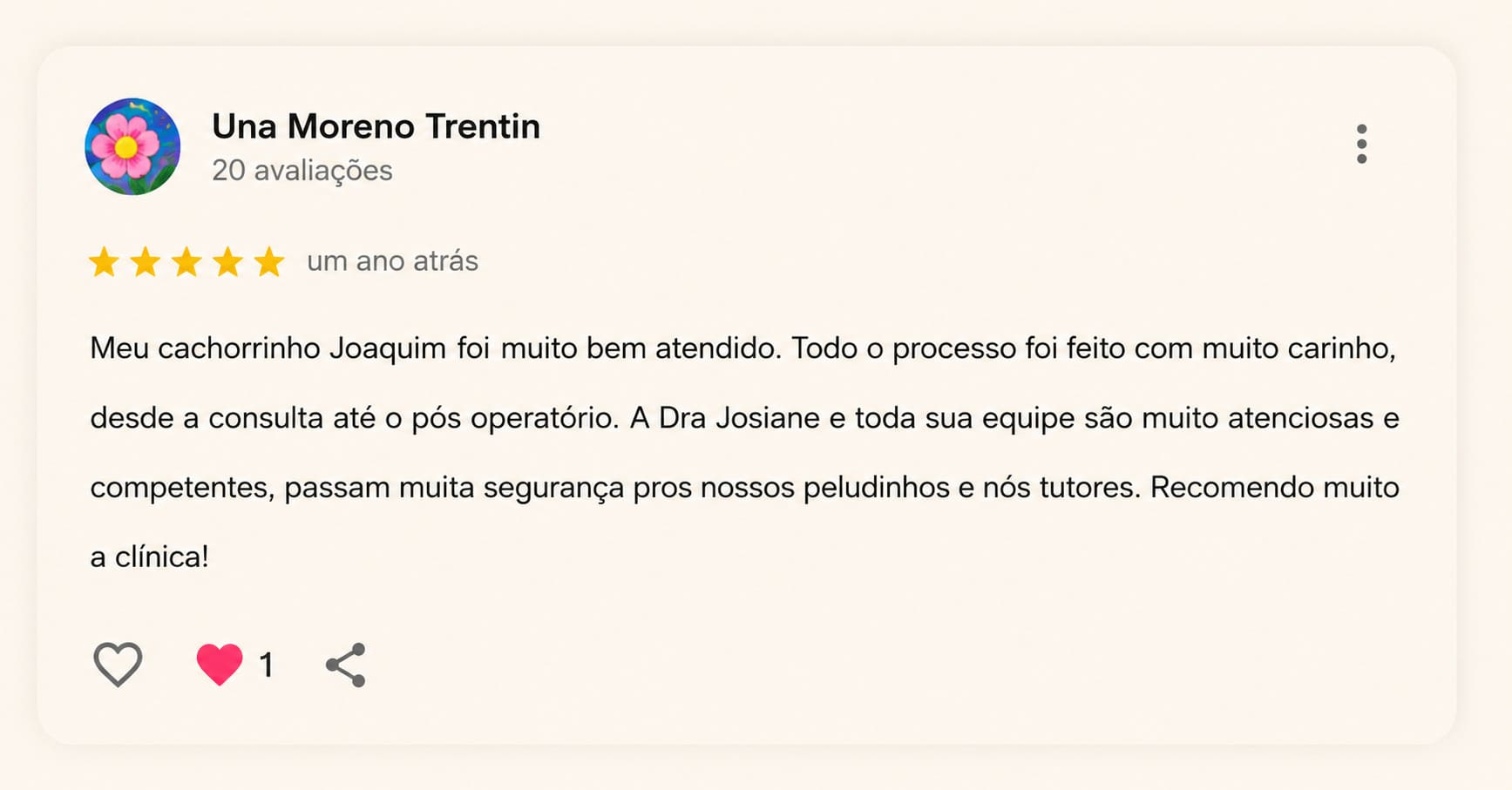 Avaliação 4 — Gato Quilate no Google