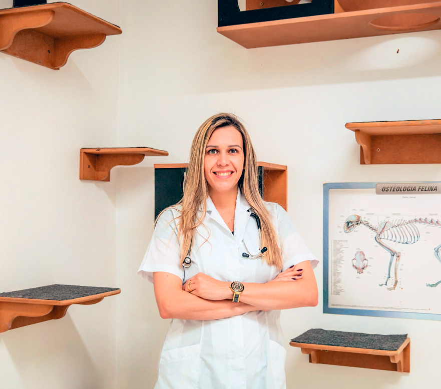 Médica Veterinária — Gato Quilate